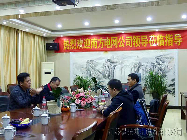 南方电网到华润2公司参观考察